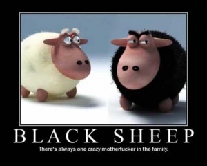 Le mouton noir